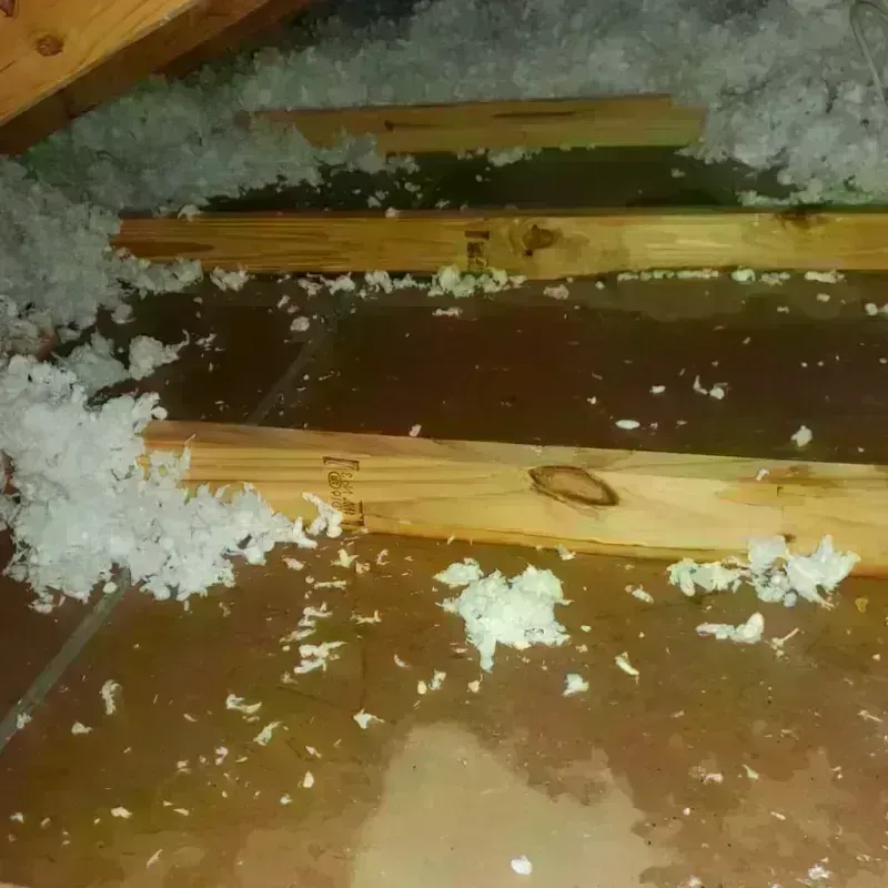 Attic Water Damage in Newark, IL