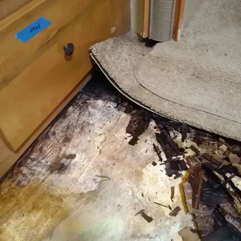 Wood Floor Water Damage in Newark, IL